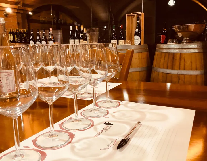 Calvarina - Wine Experience