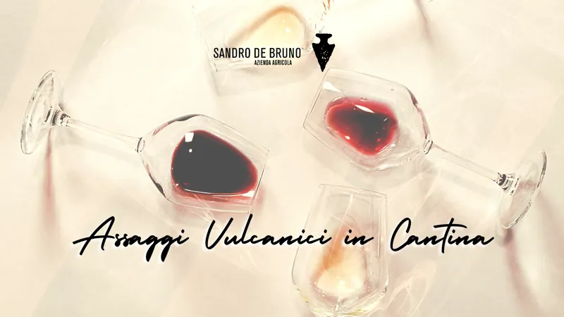 ASSAGGI VULCANICI IN CANTINA