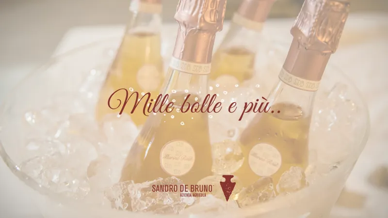 Mille bolle e più
