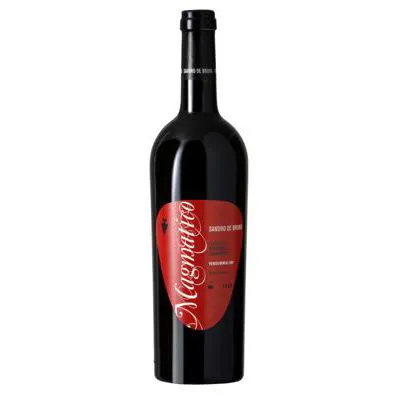 Cabernet IGT Veneto | "Magmatico" Sandro de Bruno