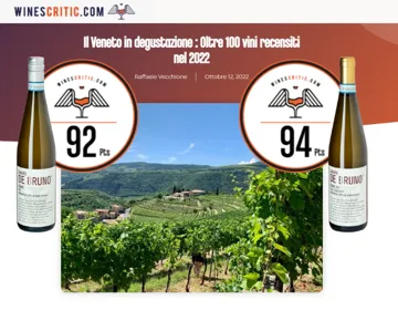 Il Veneto in degustazione : Oltre 100 vini recensiti nel 2022 | Soave Sandro De Bruno