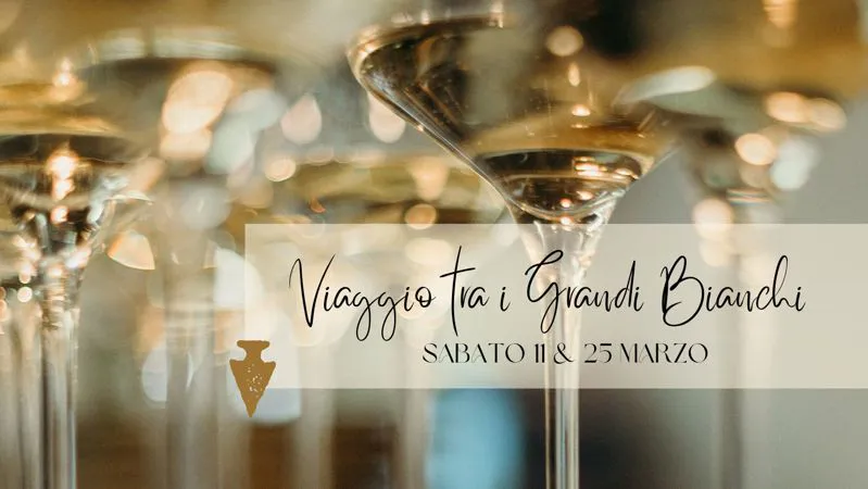 DEGUSTAZIONE VINI BIANCHI CHARDONNAY SAUVIGNON SANDRO DE BRUNO