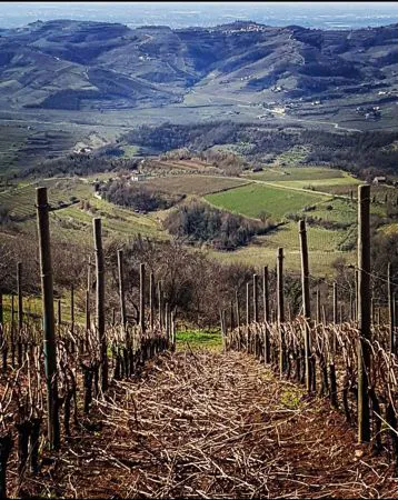 durello monti lessini metodo classico sandro de bruno dosaggio zero degustazione Sur lattes