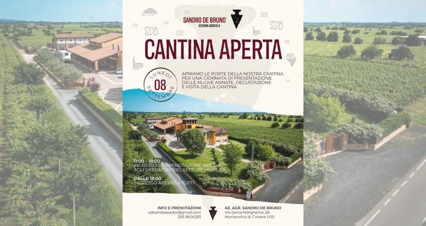 degustazione vino sandro de bruno