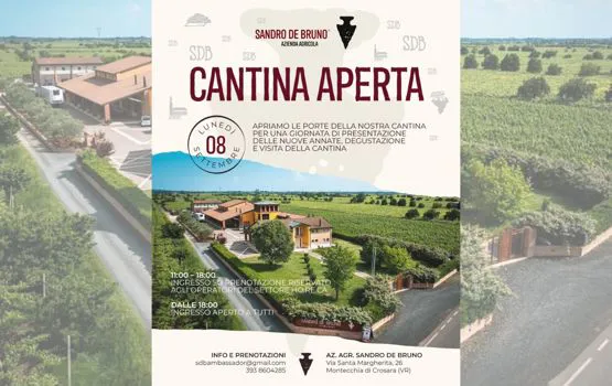 degustazione vino sandro de bruno