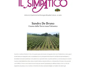 IL SIMPATICO-MELOGRANO.IT - SANDRO DE BRUNO